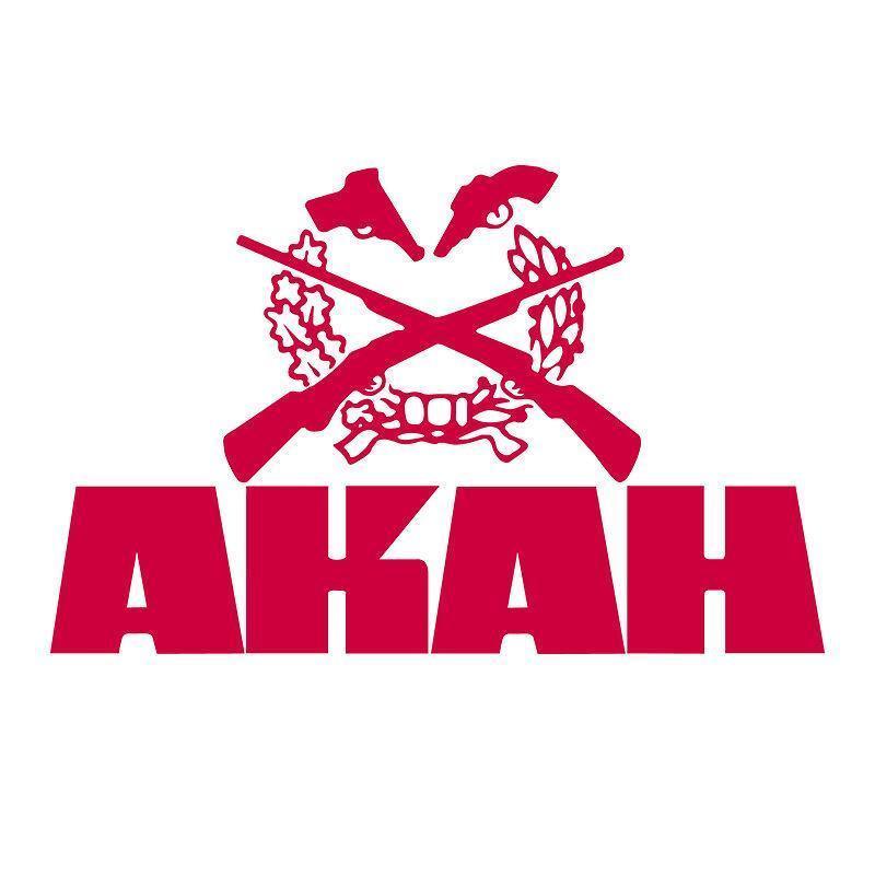 SCHWEISSEINLAGE       50X60 CM