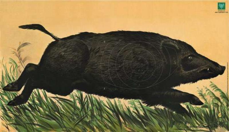 SPIEGEL F.JAGDSCHEIBE DJV NR.7