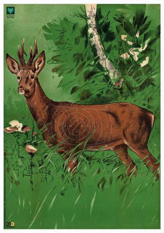 DJV Lölap özbak  NR.1.