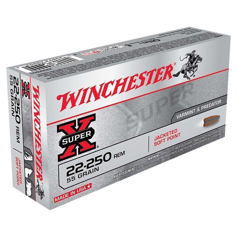 Winchester .22-250 REM. 55GR S-X PSP   A20