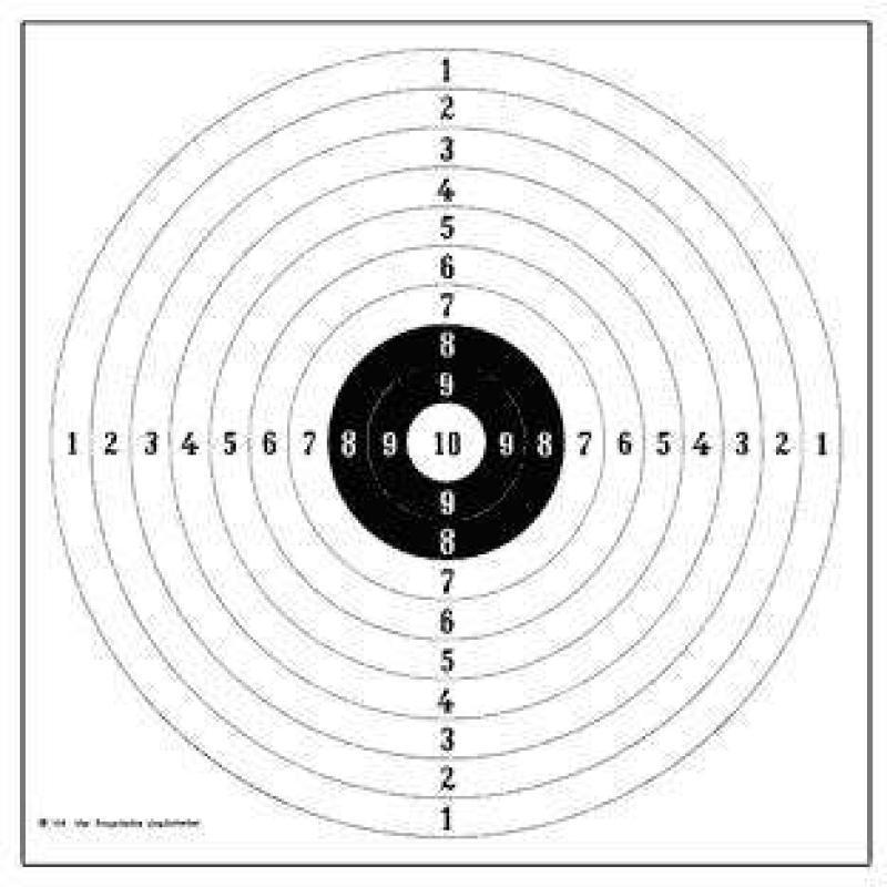 DJV JAGSCHEIBE 109 10ER-RING  lőlap 50M 55X55CM