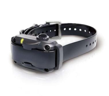 DOGTRA pótnyakörv 600/602*