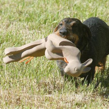 WAIDWERK APPORTIER-Nyúl