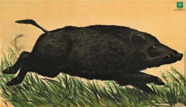 SPIEGEL F.JAGDSCHEIBE DJV NR.7