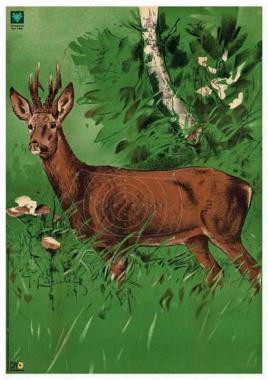 DJV Lölap özbak  NR.1.