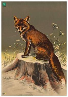 DJV Lôlap rókás Nr.3